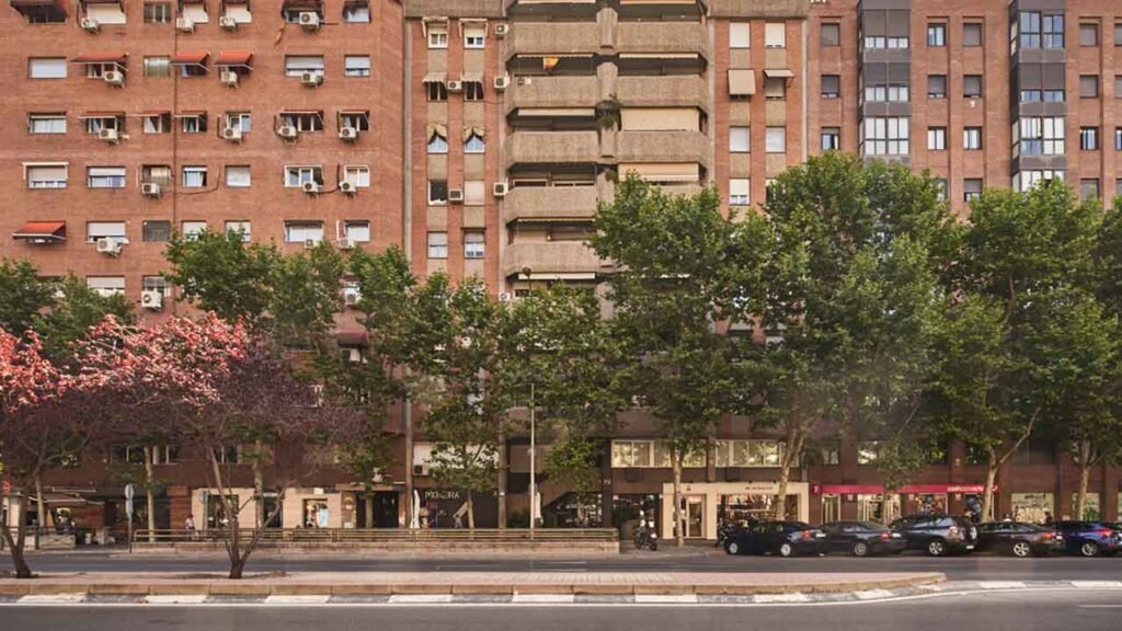 c-del-corazon-de-maria-72